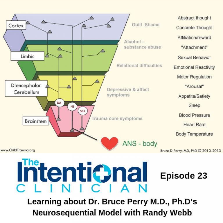 Learning About Dr Bruce Perrys Neurosequential Model Grand Rapids Mi Health For Life 3793