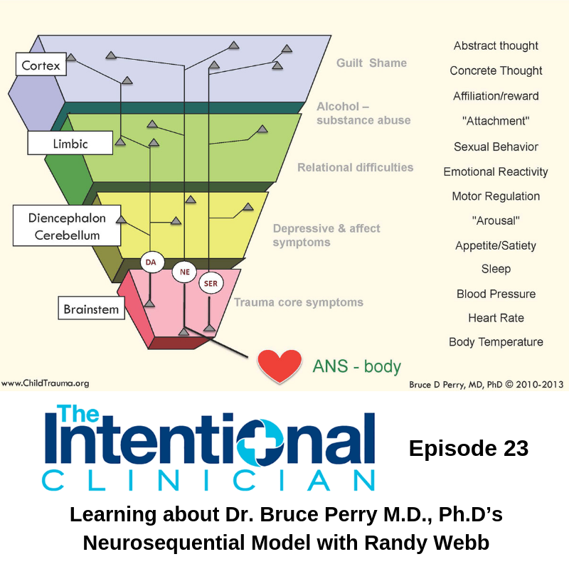 Dr. Bruce Perry M.D., Ph.D’s Neurosequential Model on the Intentional Clinician Podcast