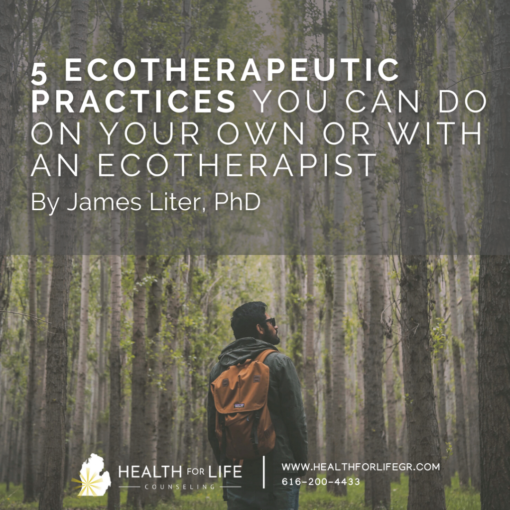 Ecotherapeutic Practices You Can Do On Your Own Or With An Ecotherapist